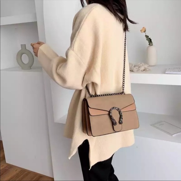 Dionysus style Chain strap crossbody bag - Picture 2 of 6